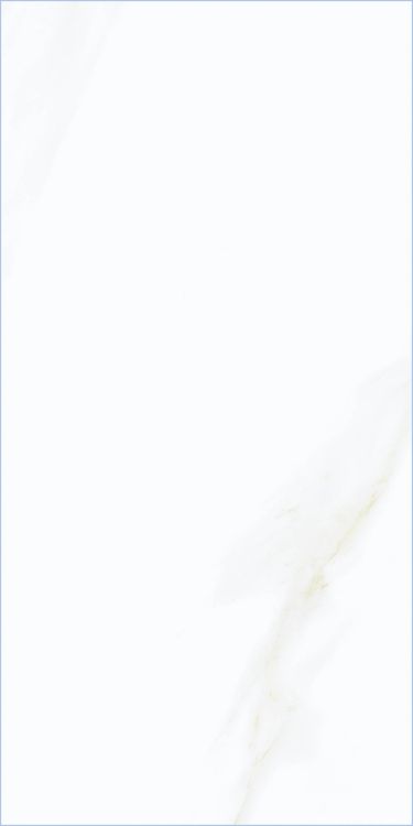 Time Cielo Matte 12 x 24